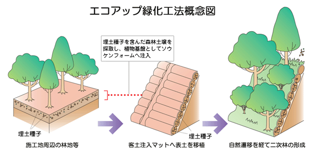 エコアップ緑化工法概念図